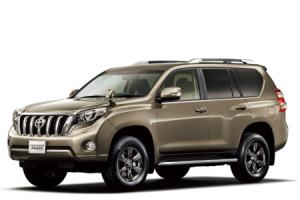 Текстильные коврики на TOYOTA LAND CRUZER 150 PRADOLexus GX 460 2014->